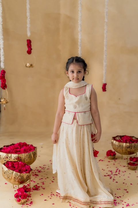 Pre-Order: Gulnoor Lehenga Set