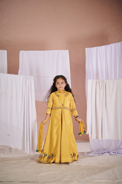 Pre-Order: Yellow Parrot Anarkali Jacket Set