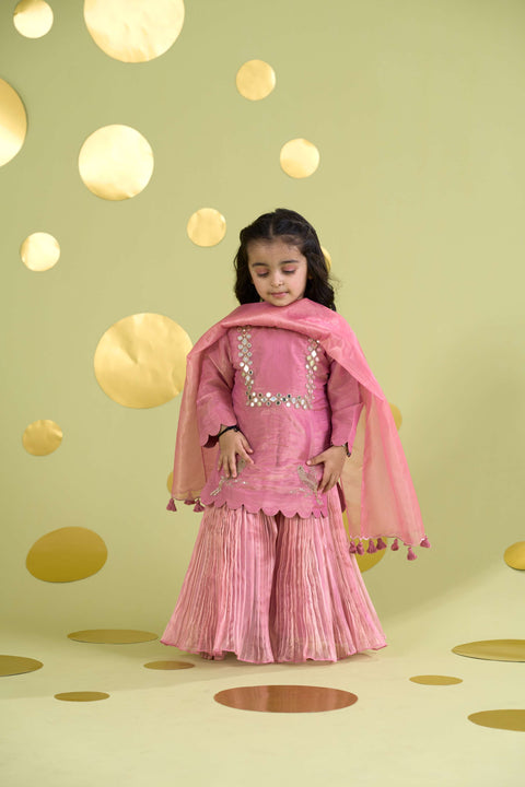 Pre-Order: PINK BIRD SHARARA MIRROR