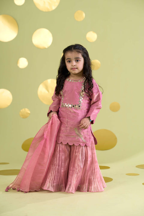 Pre-Order: PINK BIRD SHARARA MIRROR