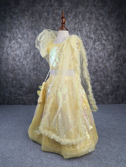 Pre-Order: Yellow Heavy Embroidery Sequence Lehenga