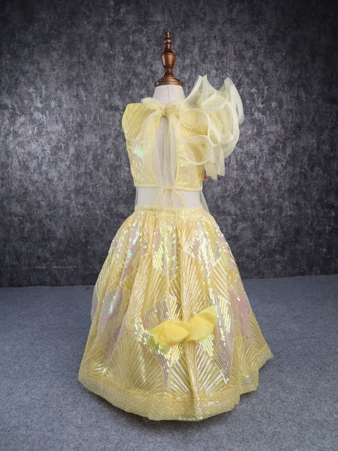 Pre-Order: Yellow Heavy Embroidery Sequence Lehenga