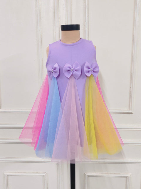 Pre-Order: Lilac Dress With Multicolour Net