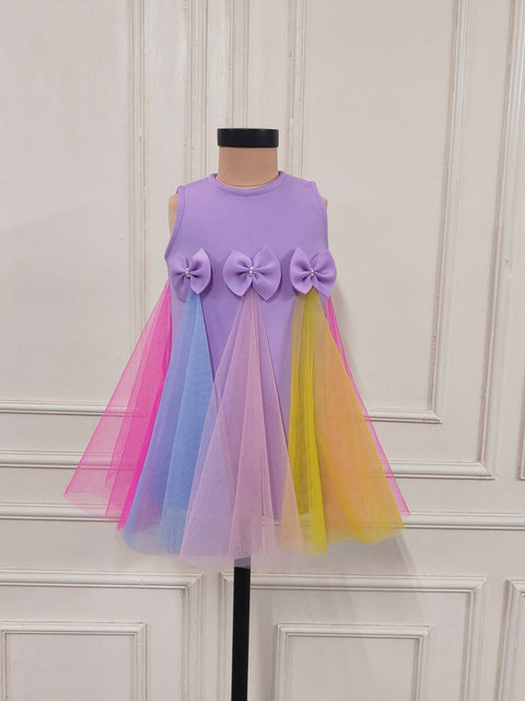 Pre-Order: Lilac Dress With Multicolour Net