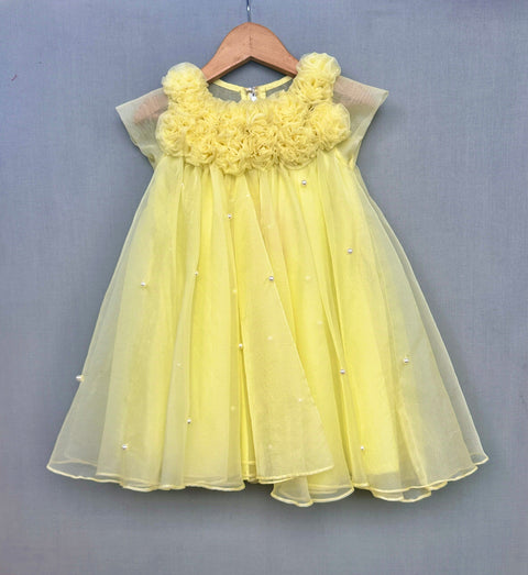 Pre-Order: Floral embellished A-line Dress in Yellow