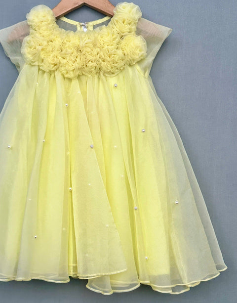 Pre-Order: Floral embellished A-line Dress in Yellow