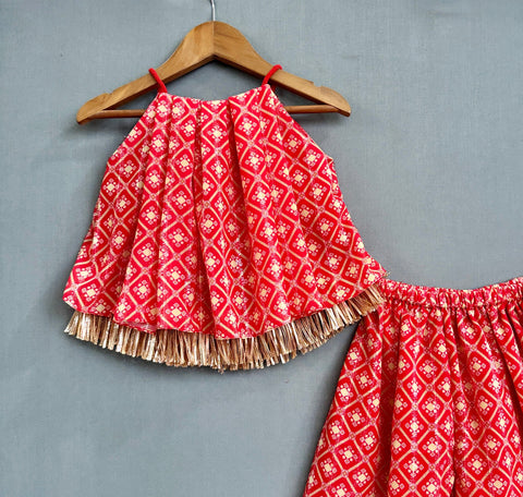 Pre-Order: Ethnic Print Co-ord Set with Zari Fringes