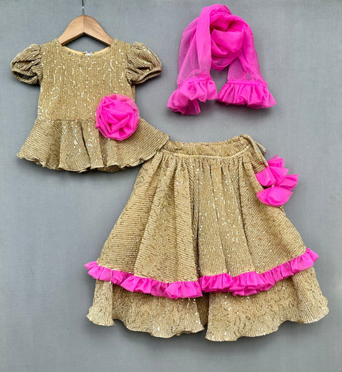 Pre-Order: Shimmer Gold Lycra Lehenga Set