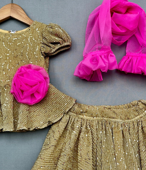 Pre-Order: Shimmer Gold Lycra Lehenga Set