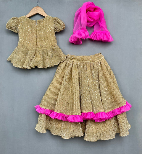 Pre-Order: Shimmer Gold Lycra Lehenga Set