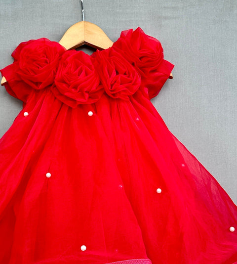 Pre-Order: Red Organza Dress with Flowers