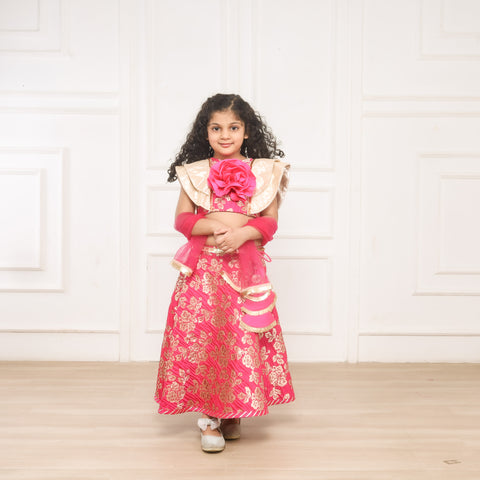 Pre-Order: Lullaby Lane Pink Brocade Lehenga