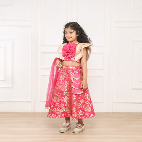 Pre-Order: Lullaby Lane Pink Brocade Lehenga