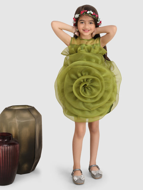 Pre-Order: Embellished with Big Flower Dress-Green