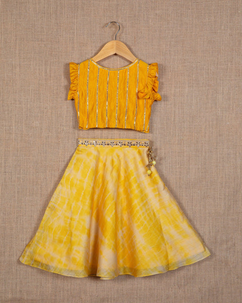 Pre-Order: Tie-Dye Cotton Silk Crop Top and Lehenga