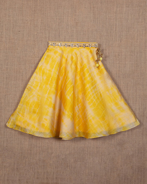 Pre-Order: Tie-Dye Cotton Silk Crop Top and Lehenga