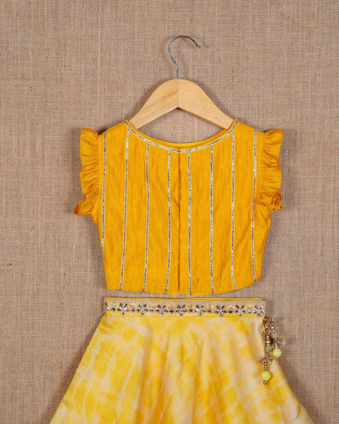 Pre-Order: Tie-Dye Cotton Silk Crop Top and Lehenga