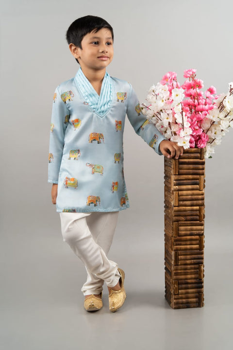 Pre-Order: Powder Blue Elephant Print Kurta with Churidar Set