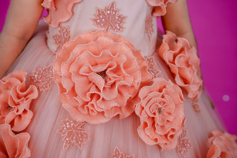 Pre-Order: Peach Colour Couture Party Gown With Hand Crafted Flower Details & Maple Leaf Applique
