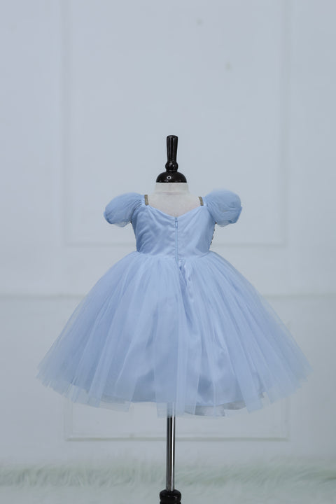 Pre-Order: Dusty Blue Gown with Intricate Handworks and Flowers