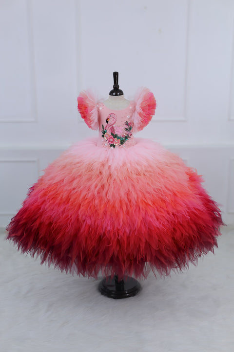 Pre-Order: Flamingo Multi Shaded Feather Frill with Heavy Intricated Handwork on Yoke