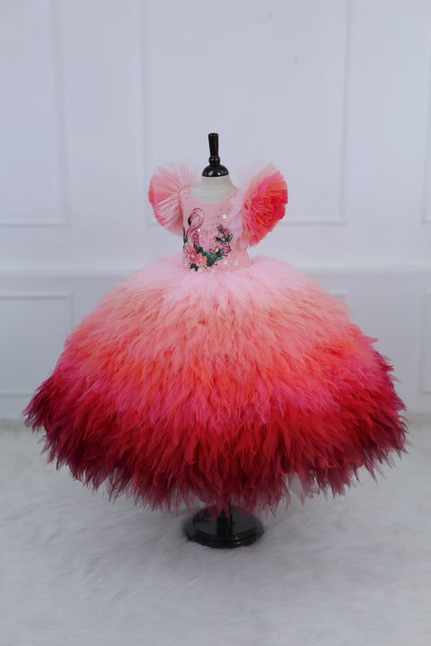 Pre-Order: Flamingo Multi Shaded Feather Frill with Heavy Intricated Handwork on Yoke