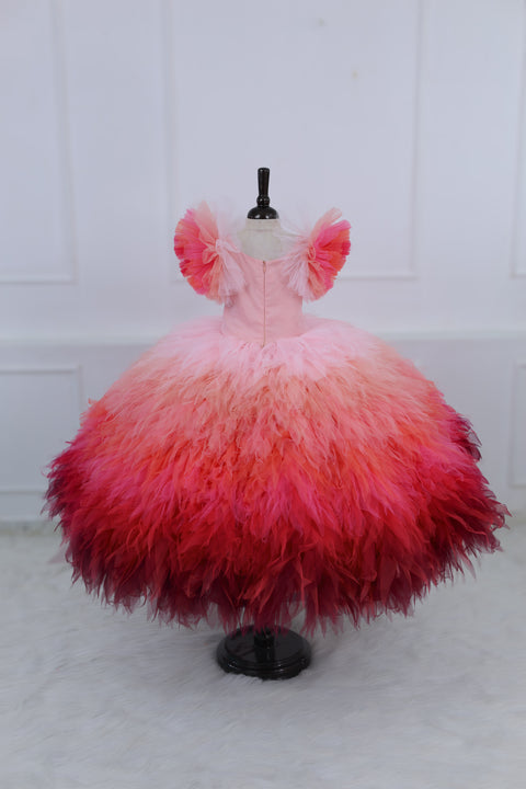 Pre-Order: Flamingo Multi Shaded Feather Frill with Heavy Intricated Handwork on Yoke