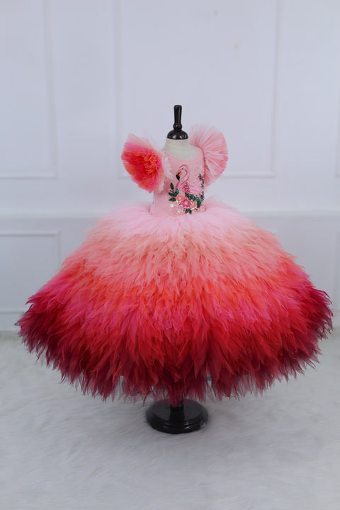 Pre-Order: Flamingo Multi Shaded Feather Frill with Heavy Intricated Handwork on Yoke