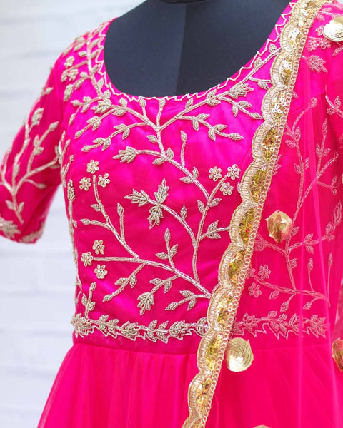 Pre-Order: Rani Pink Netted Gown with Hand Worked Yoke and Netted Dupatta
