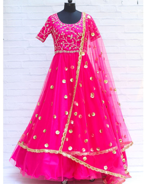 Pre-Order: Rani Pink Netted Gown with Hand Worked Yoke and Netted Dupatta