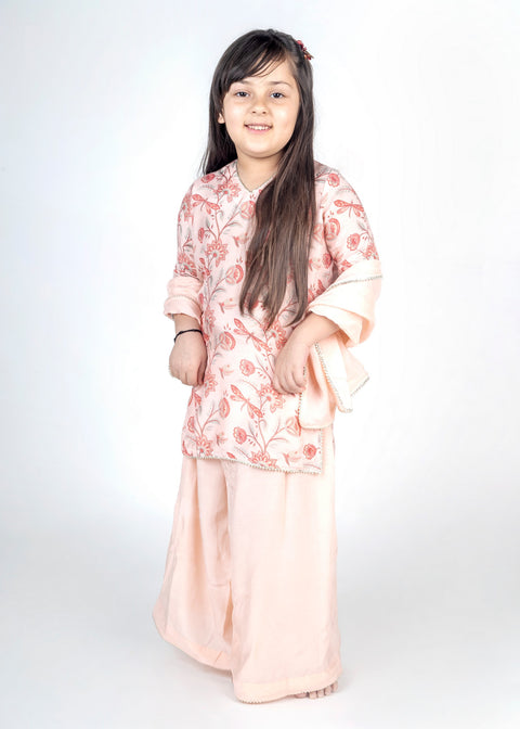 Pre-Order: Dragon Fly Bel Jaal Kurta Sharara Set