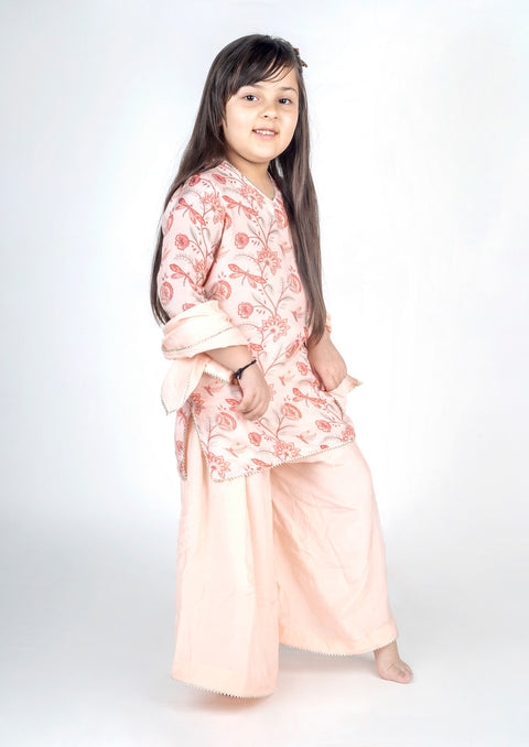 Pre-Order: Dragon Fly Bel Jaal Kurta Sharara Set
