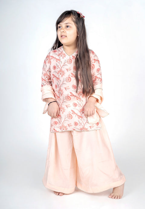 Pre-Order: Dragon Fly Bel Jaal Kurta Sharara Set