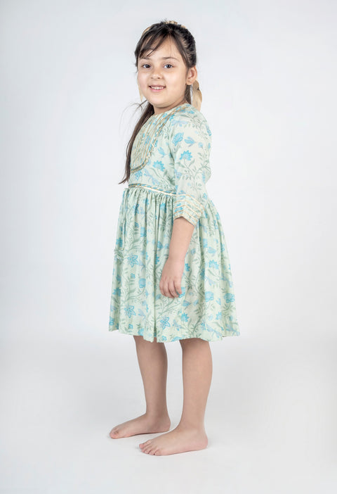 Pre-Order: Dragon Fly Printed Muslin Lace Dress