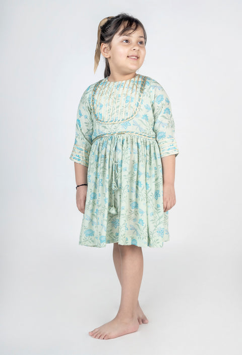 Pre-Order: Dragon Fly Printed Muslin Lace Dress