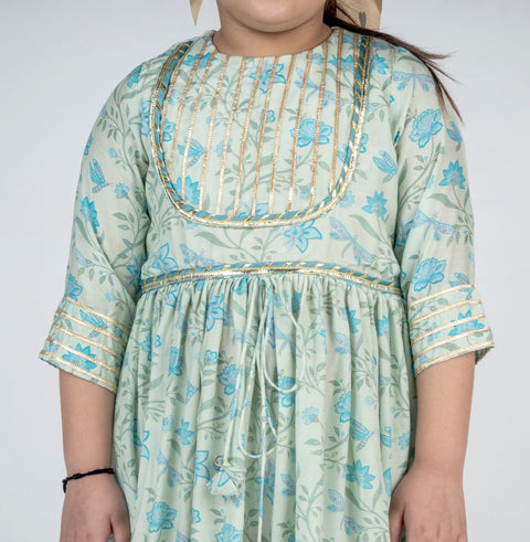 Pre-Order: Dragon Fly Printed Muslin Lace Dress