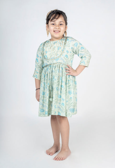 Pre-Order: Dragon Fly Printed Muslin Lace Dress