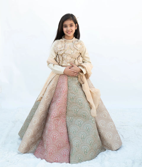 Pre-Order: Golden Embroidered Lehenga Set