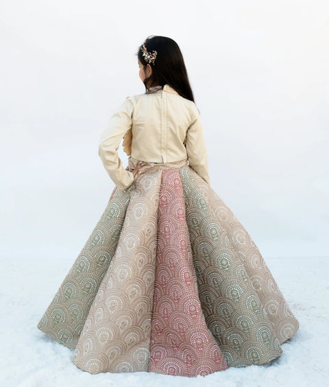 Pre-Order: Golden Embroidered Lehenga Set