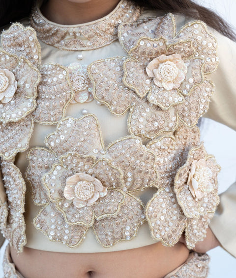 Pre-Order: Golden Embroidered Lehenga Set