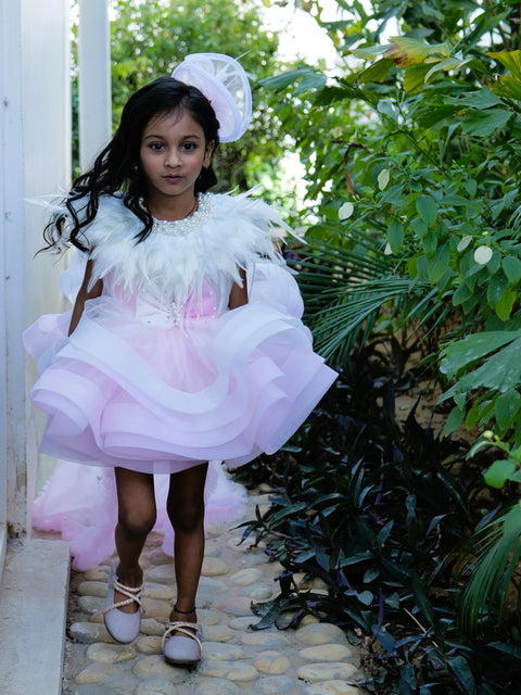 Pre-Order: Dual-Colour Princess Net Flared Dress