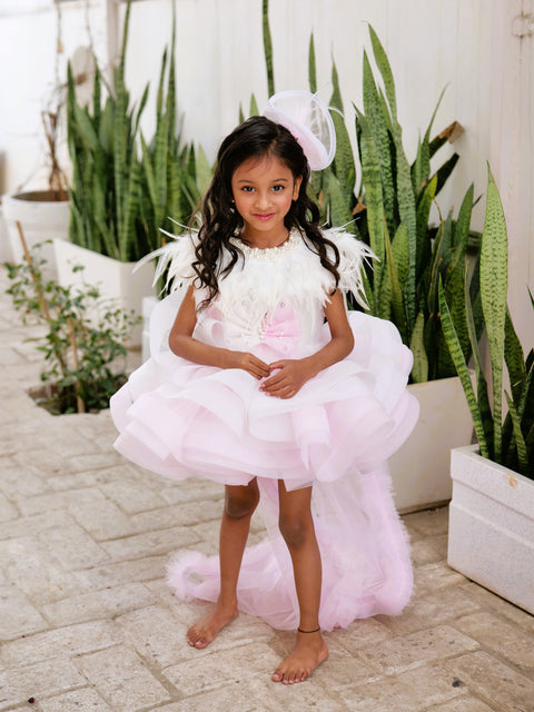 Pre-Order: Dual-Colour Princess Net Flared Dress