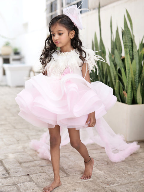 Pre-Order: Dual-Colour Princess Net Flared Dress