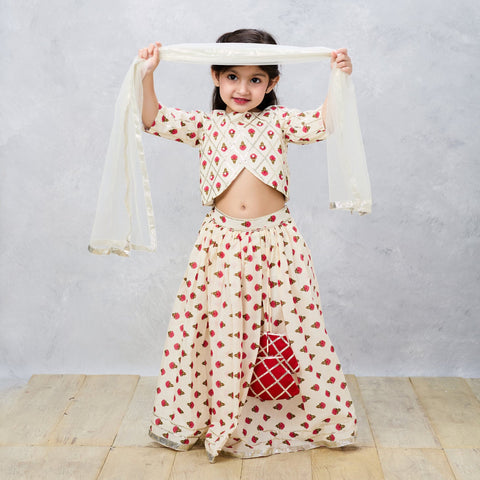 Pre-Order: Jaipury Block print sophisticated Ghaghra choli