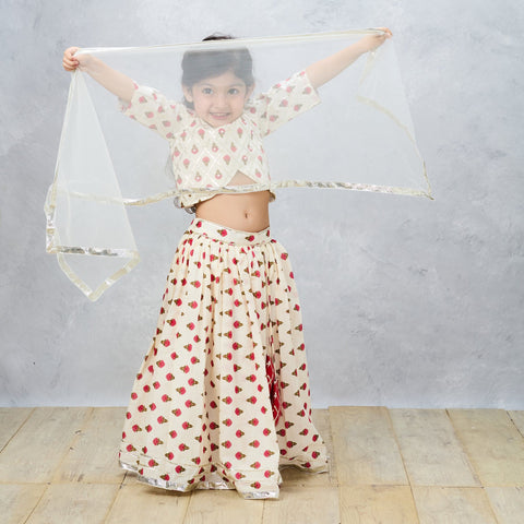 Pre-Order: Jaipury Block print sophisticated Ghaghra choli