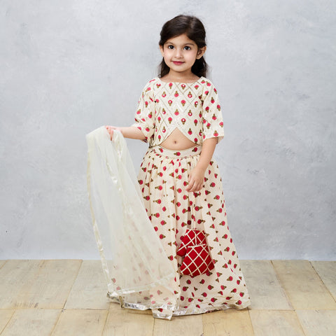 Pre-Order: Jaipury Block print sophisticated Ghaghra choli