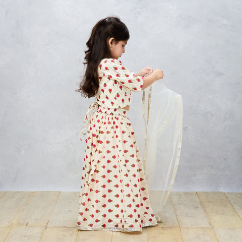 Pre-Order: Jaipury Block print sophisticated Ghaghra choli