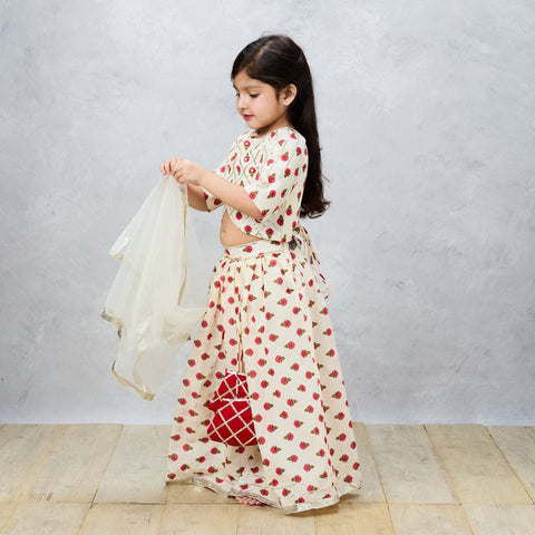 Pre-Order: Jaipury Block print sophisticated Ghaghra choli