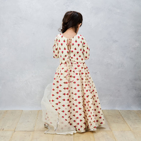 Pre-Order: Jaipury Block print sophisticated Ghaghra choli