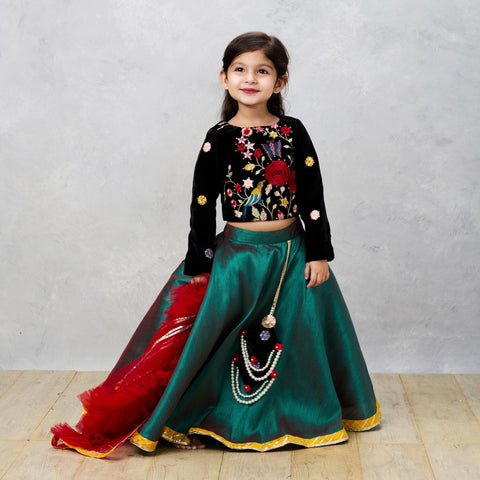 Pre-Order: Black Velvet Embroidered Choli with Raw Silk Ghaghra and Tassels